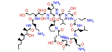 Homophymine C